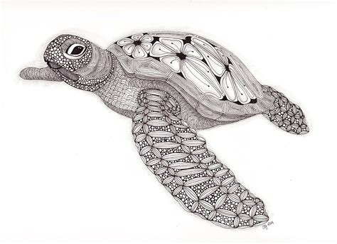 Tangled Sea Turtle Drawing By Christianne Gerstner