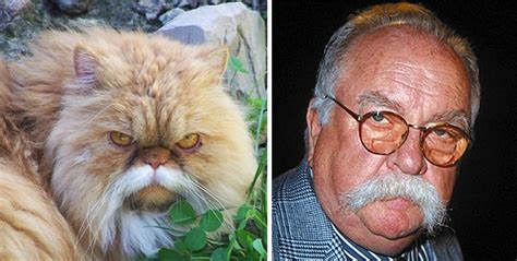 25 Celebrities With Their Animal Doppelgangers