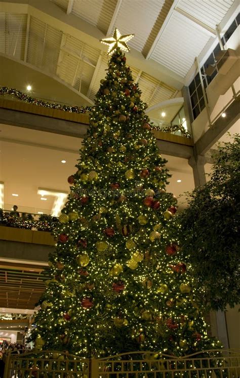 Christmas Tree In Mall Stock Photo Image Of Mall Indoor 27845954
