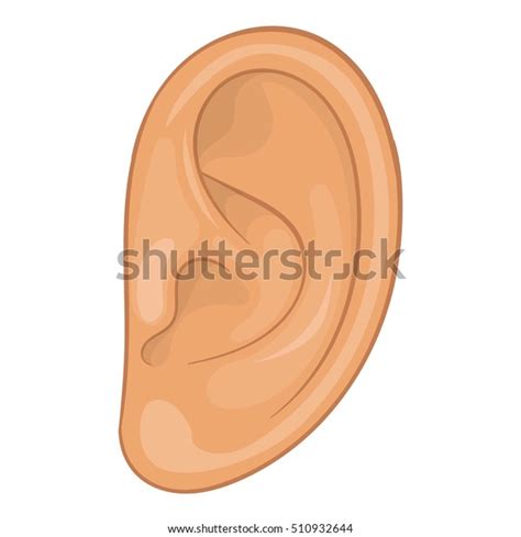 Ear Icon Cartoon Illustration Human Ear Stock Vector Royalty Free
