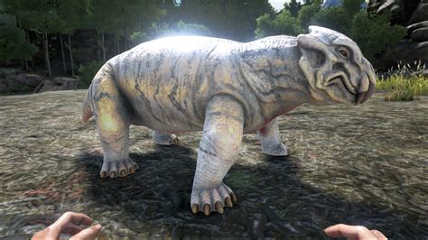 Lystrosaurus Official Ark Survival Evolved Wiki