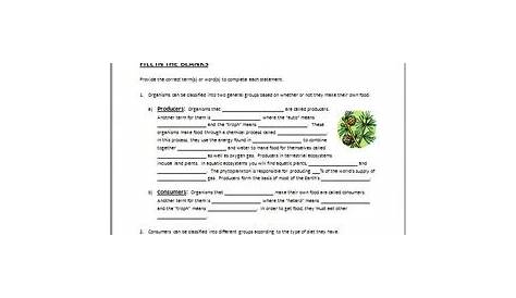 Organisms in Ecosystems - Review Worksheet {Editable} by Tangstar Science