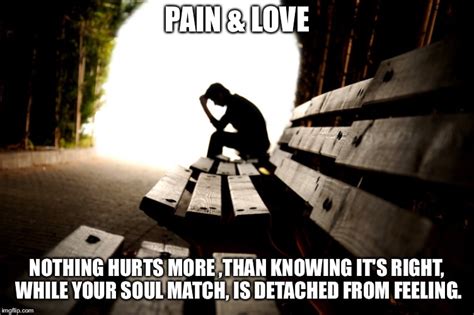 Love And Pain Imgflip