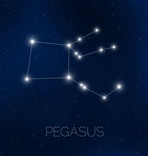 Top 60 Pegasus Constellation Clip Art Vector Graphics And