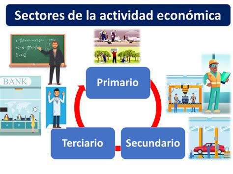 Sector Primario Secundario Y Terciario 2023 Economipedia