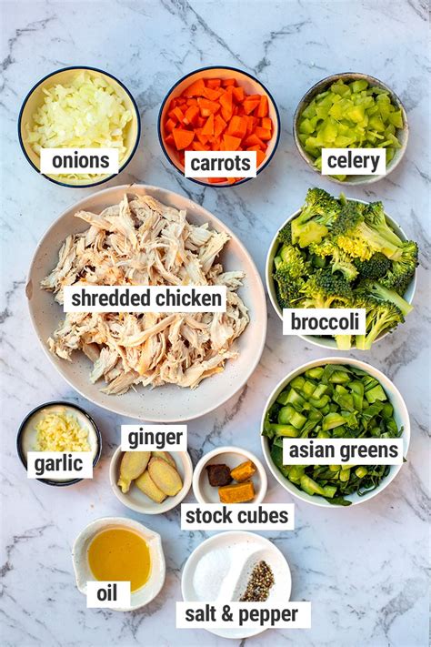 Garlic Chicken Soup Quick And Easy Recipe Exercisestips