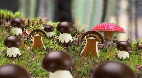 Michel Cluizel Chocolate And Caramel Mushrooms World Wide Chocolate