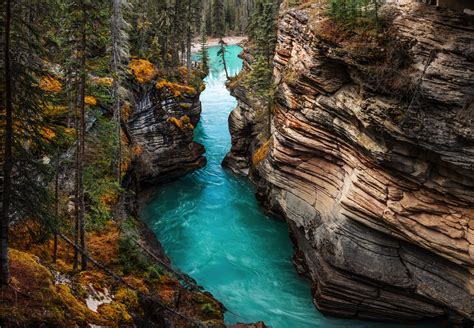 Jasper National Park In Canada Maple Treasures