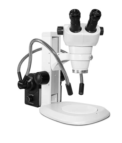 Digital Microscope Scienscope Nz Series Stereo Zoom Binocular Nz Pk2 Dpl