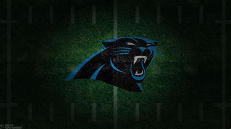 Share More Than 69 Wallpaper Carolina Panthers Best Incdgdbentre