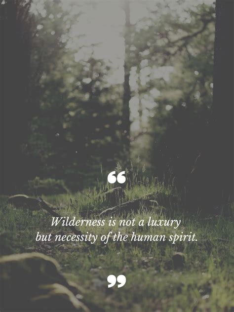 55 Beautiful Outdoor Quotes To Make You Want To Go Outside Happily Outside