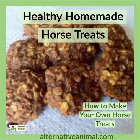 Healthy Homemade Horse Treats Alternative Animal Homemade Horse