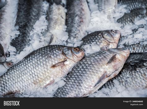 Fresh Fish On Ice Image And Photo Free Trial Bigstock