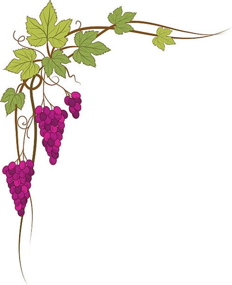 Best Hanging Vines Illustrations Royalty Free Vector Graphics And Clip