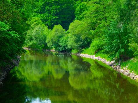 Spring Greenery Reflected In The River Stock Photo Image Of