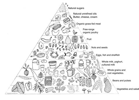 Nuush S Healthy Eating Pyramid
