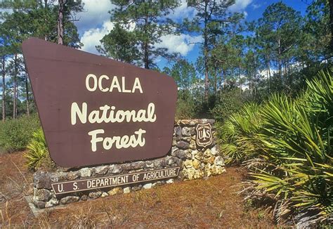 Ocala National Forest Florida Traveler