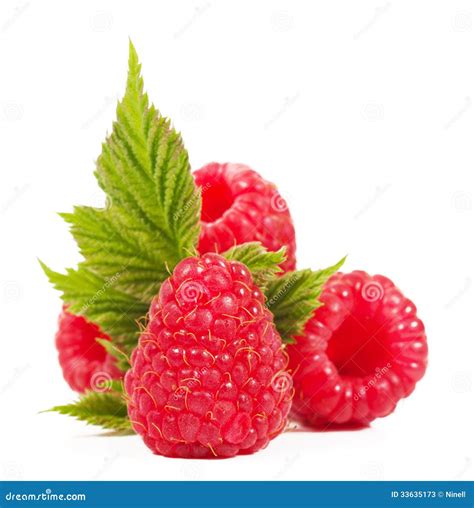 stock image image of color diet berry natural dessert 33635173