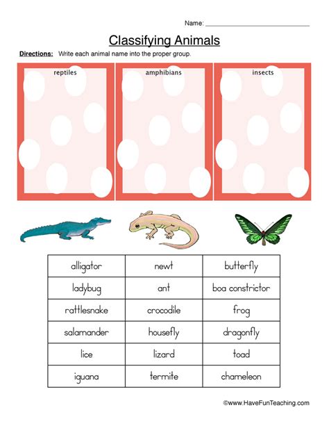 Classifying Animals Worksheet Reptiles Amphibians Or Insects