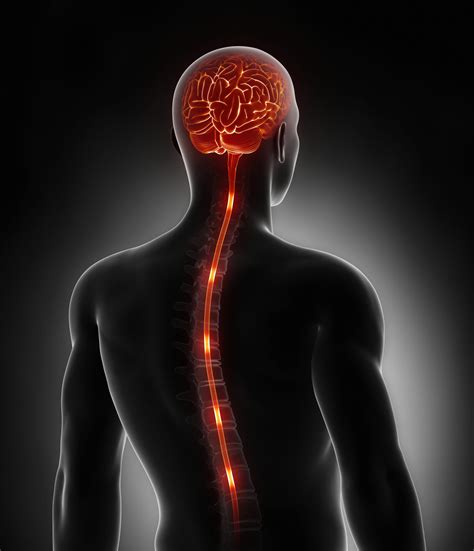 Spinal Cord Stimulation Chalfont Pain Management Delaware Valley