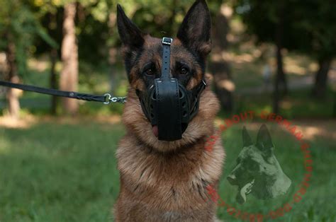 Leather Dog Muzzle Dondi Plus Style For German Shepherd M551070