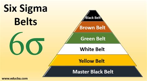Six Sigma Belts Quick Glance On The Six Sigma Belts Level
