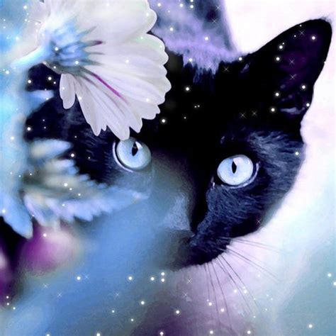 Cats And Flowers Wallpapers Wallpaper Cave