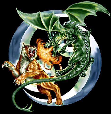 Two Green And Yellow Dragon Fighting Over A White Tiger In The Middle