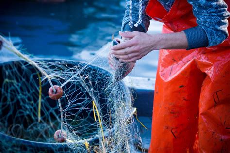 ¿qué Es La Pesca Sostenible Y Por Qué Apostar Por Ella Bbva