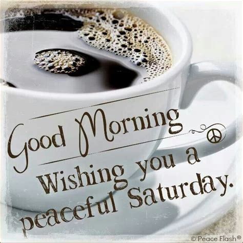 The weekend will not be for you, but also for your shoes, suits, files, laptop and socks. Good Morning | Good morning wishes, Happy saturday quotes ...