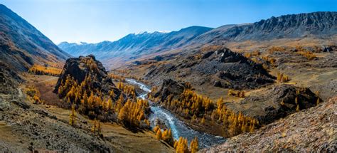 Panorama Is Altai A Mountain River Flowing Between The Altai Mountains