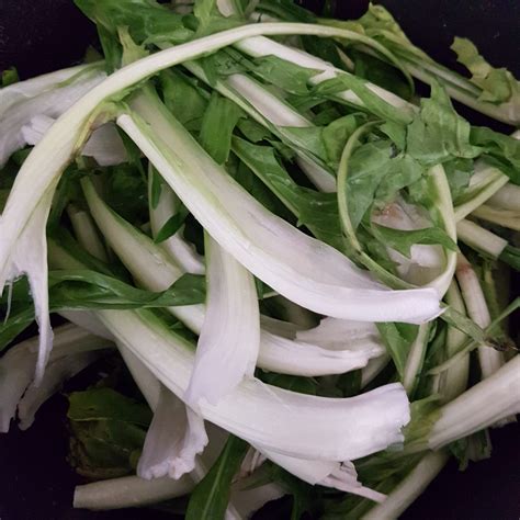 La catalogna cicoria, con i suoi germogli, le puntarelle. CUCINARE LE FOGLIE DI PUNTARELLE | lacuocaignorante