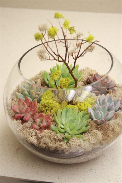 Making a centerpiece for your coffee table by yourself you have a chance to tell about your hobby, your taste. Picture Of Succulent Centerpieces For Your Recepton Table
