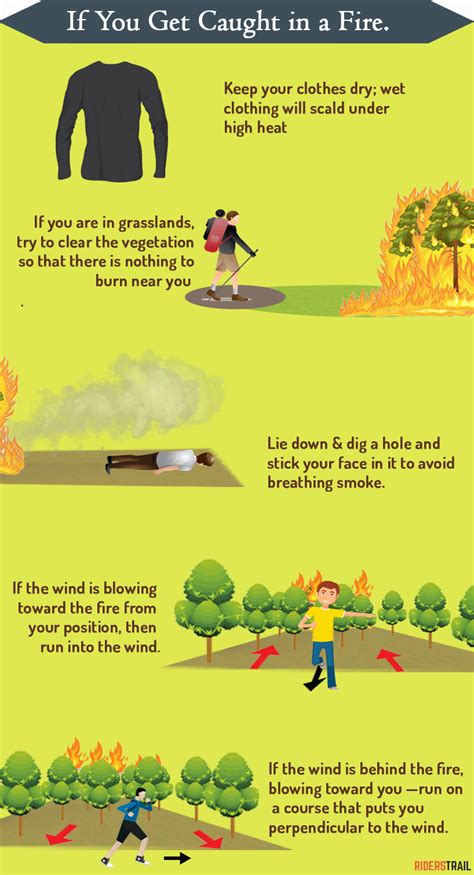 How To Survive A Forest Fire Go Explore Croatia