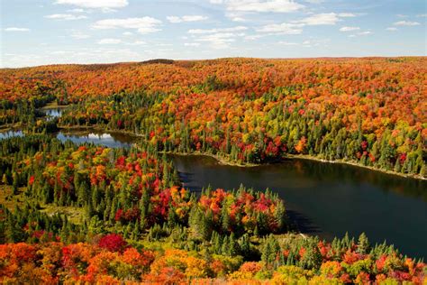 Visit These Parks To See Fall Colours In Ontario Great Lakes Guide