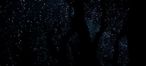 Concurso de transmissão televisiva com: Chuva de estrelas hoje em Portugal, pela meia-noite | A ...