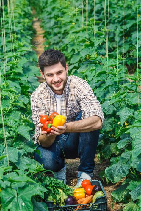 La carrera está orientada a formar un profesional con una sólida base científica y tecnológica, que tenga incorporados el perfil del egresado será el de un ingeniero agrónomo generalista, con una visión holística e integradora, enfocado en los sistemas, con capacidad de. Ingeniero Agrónomo holding verduras y puntos para la ...