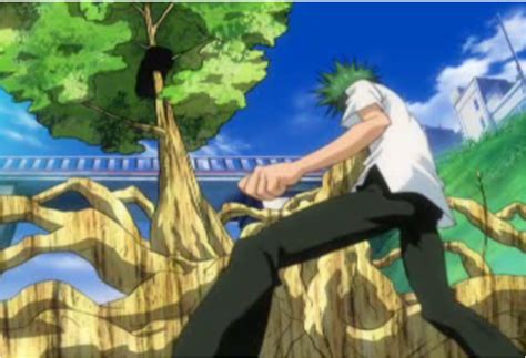 Check spelling or type a new query. What type of trees can Ueki make? - Anime & Manga Stack ...