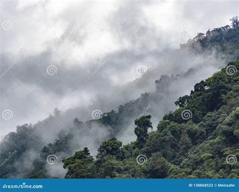 Foggy Landscape In The Costa Rica Rain Forest Stock Photo Image Of