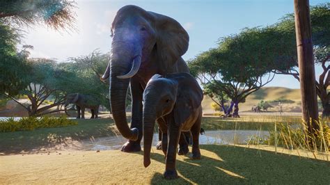 Planet zoo is a highly popular construction and management simulation game. Planet Zoo shows off first gameplay, reveals developer ...