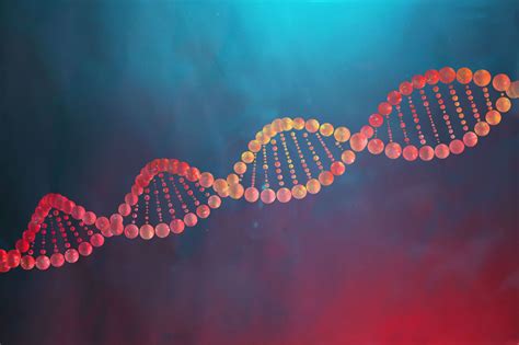 How Genetic Mutations Drive Evolution