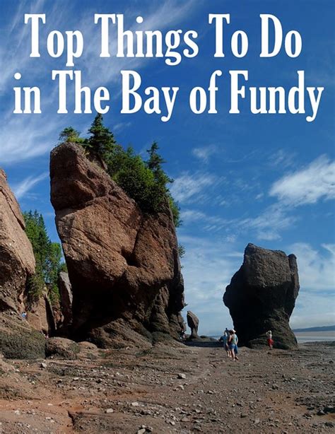 Top Things To Do In The Bay Of Fundy Wandering Educators