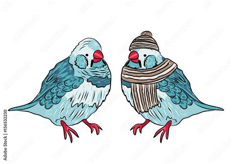 Vector Illustration Of The Same Bird Warm Dressed And Undressed Stock