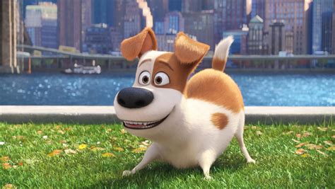 Get ready for 'Secret Life of Pets 2'