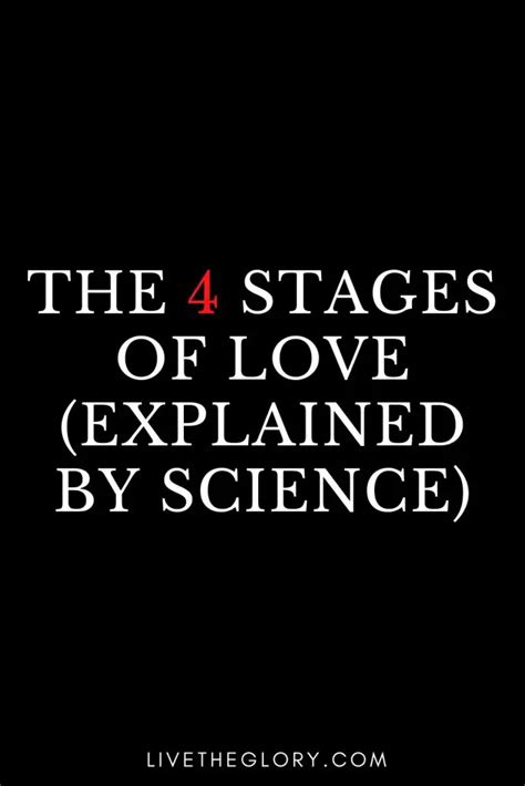 The 4 Stages Of Love Explained By Science Live The Glory