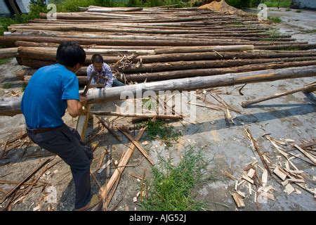 Chinese Workmen Cutting Tree Trunk Lumber Likeng China Stock Photo Alamy