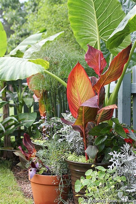 16 Awesome Summer Container Garden Design Ideas Tropical Garden