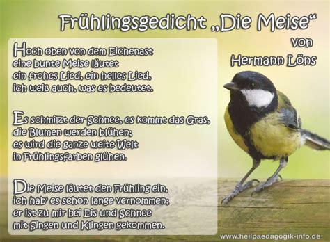 We did not find results for: Frühlingsgedicht: Die Meise