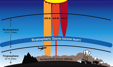 Case Study Ozone Depletion Meteo 3 Introductory Meteorology