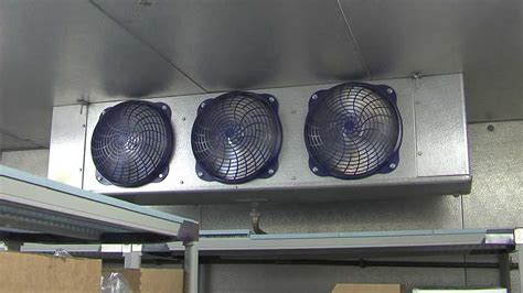 Troubleshoot Walk In Cooler Evaporator Fan Motor Issues